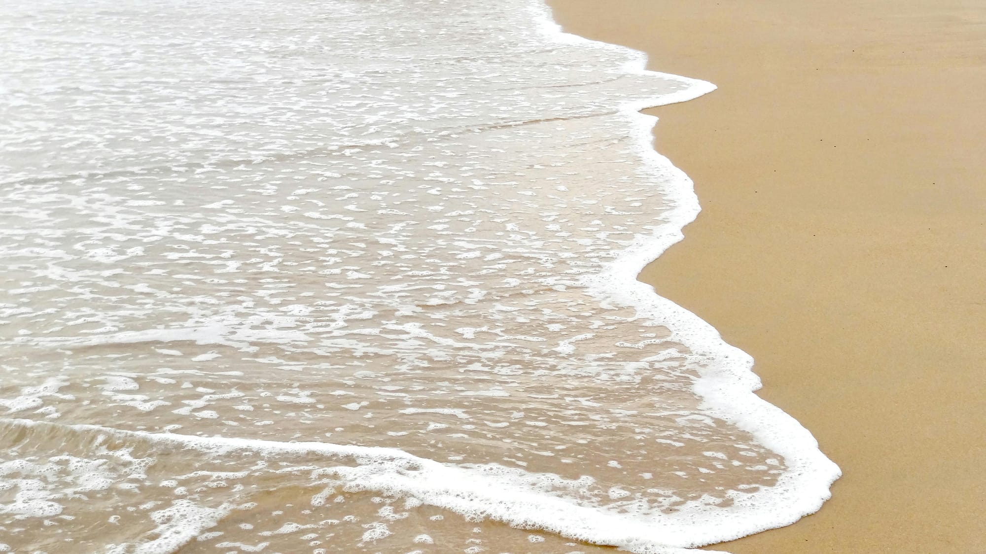 NCDR Update – Are the Tides Turning for Failing to Mediate?