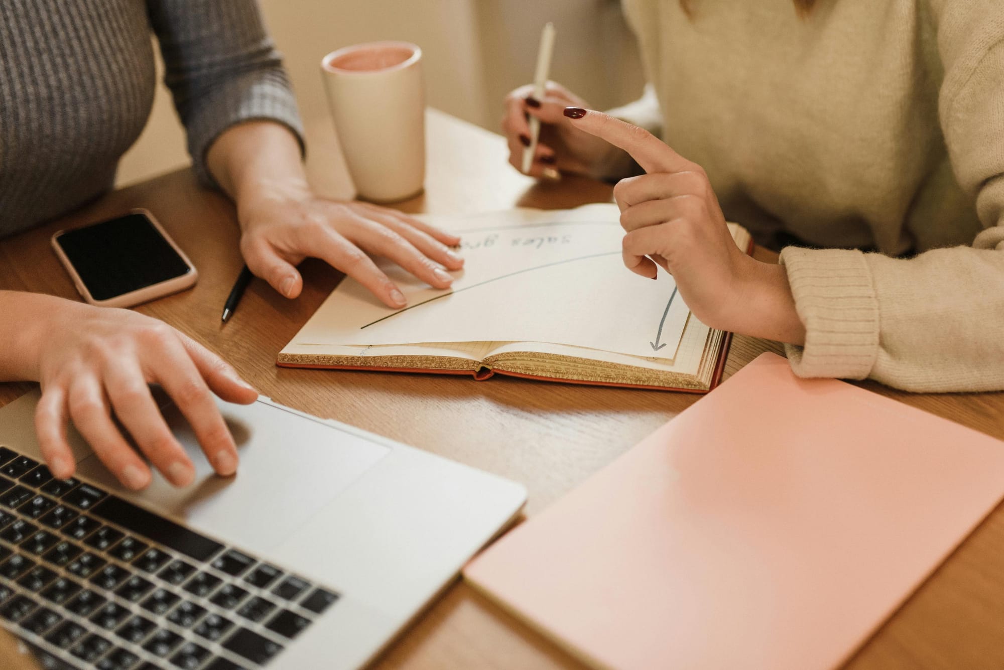 In Defence of Legal Fee Loans: The Economics of Access to Justice