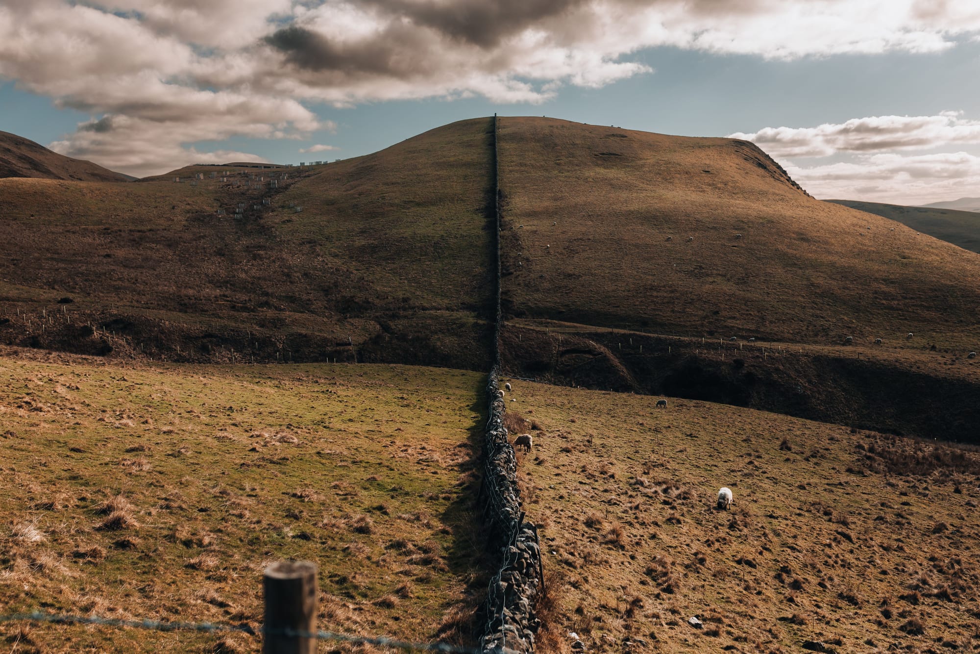 Cohabitation Law Reform – Perspectives North and South of the Anglo-Scottish Border