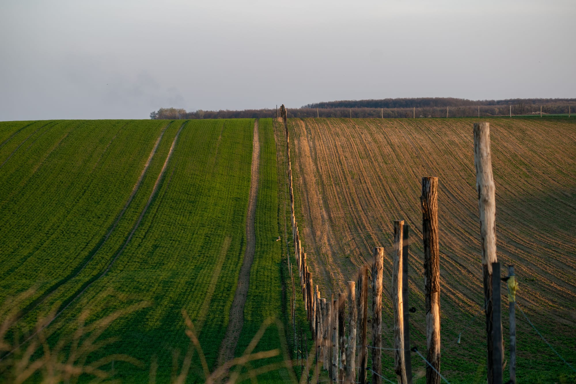 What Family Lawyers Can Learn from Both Sides of the Border
